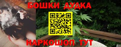 молекула духа Заводоуковск