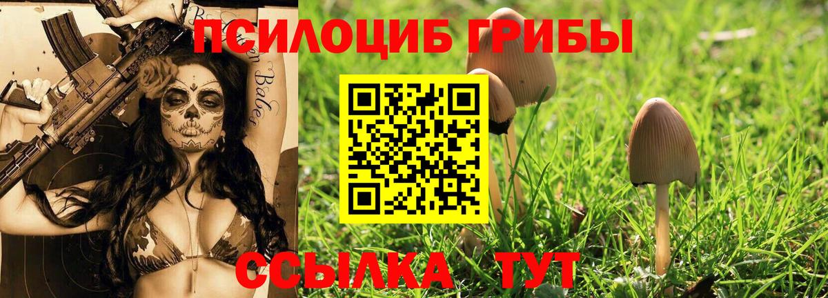Галлюциногенные грибы ЛСД  Вход с VPN  Минусинск  Галлюциногенные грибы Psilocybe 